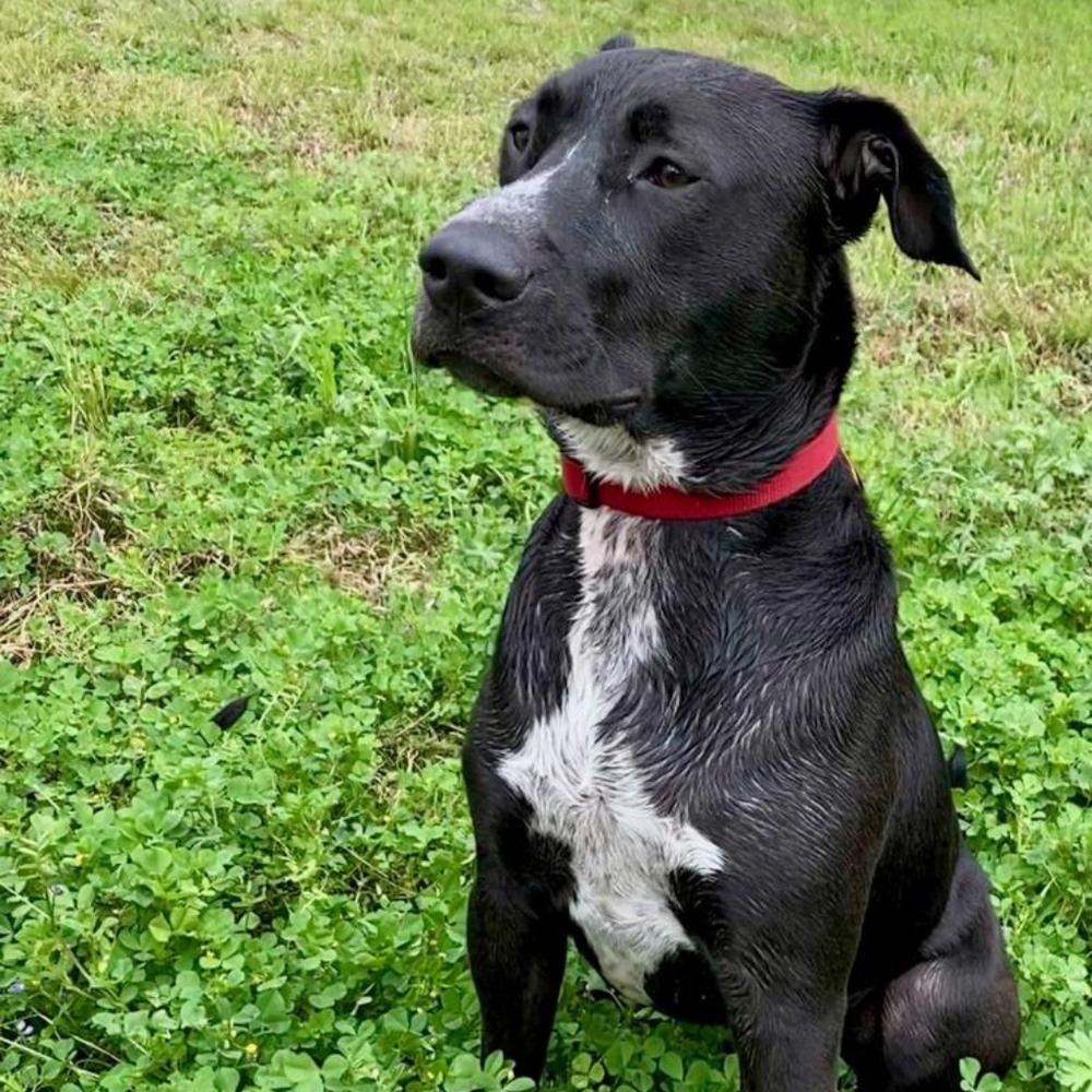 Meet your Posher, Natasha